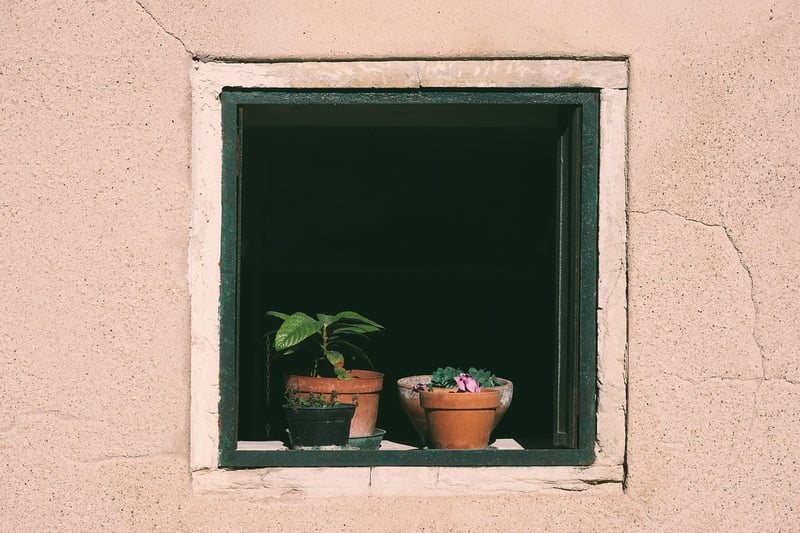 Window Boxes